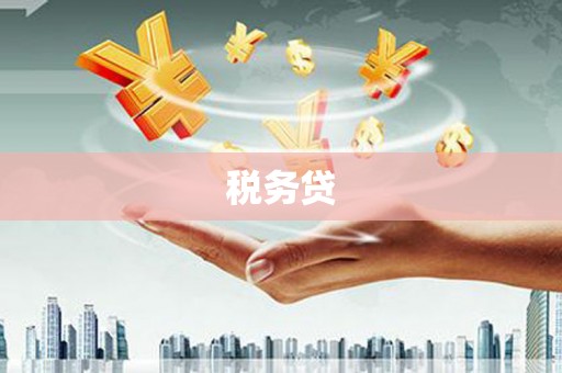 南靖税务贷