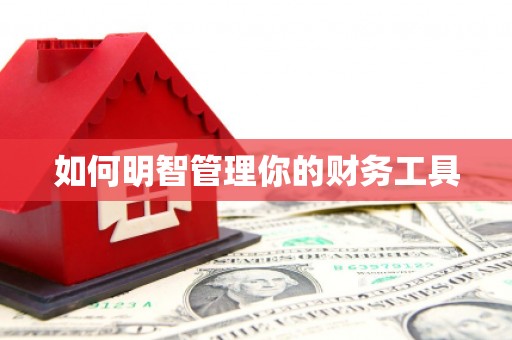 南靖如何明智管理你的财务工具