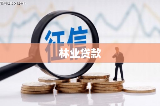 南靖林业贷款