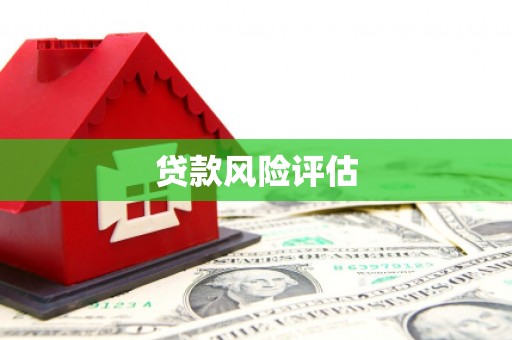 南靖贷款风险评估