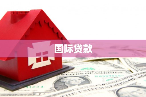 南靖国际贷款