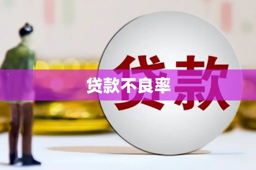 南靖贷款不良率