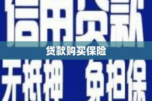 南靖贷款购买保险