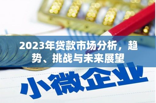 南靖2023年贷款市场分析，趋势、挑战与未来展望