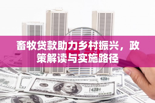 南靖畜牧贷款助力乡村振兴，政策解读与实施路径