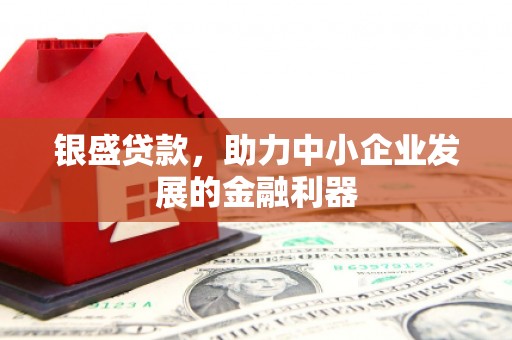 南靖银盛贷款，助力中小企业发展的金融利器