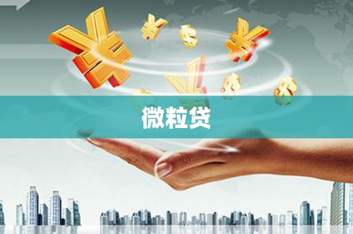 南靖微粒贷