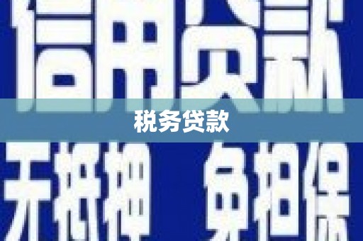南靖税务贷款