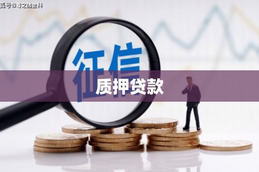 南靖质押贷款
