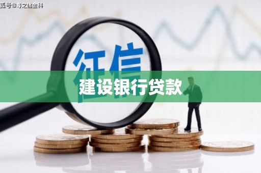 南靖建设银行贷款