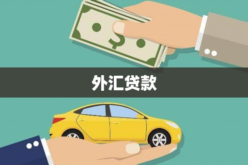 南靖外汇贷款
