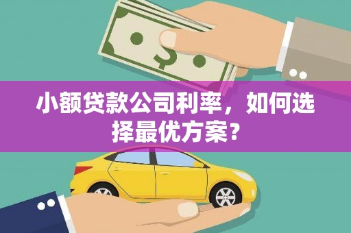 南靖小额贷款公司利率，如何选择最优方案？