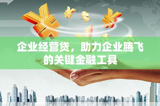 南靖企业经营贷，助力企业腾飞的关键金融工具
