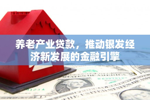 南靖养老产业贷款，推动银发经济新发展的金融引擎