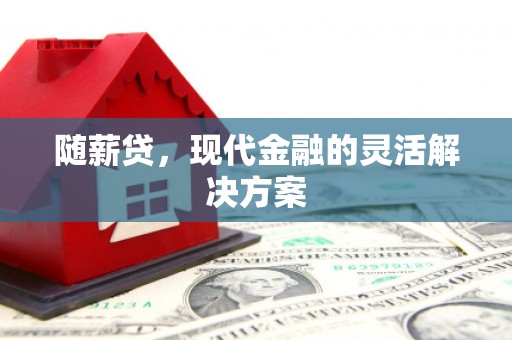 南靖随薪贷，现代金融的灵活解决方案