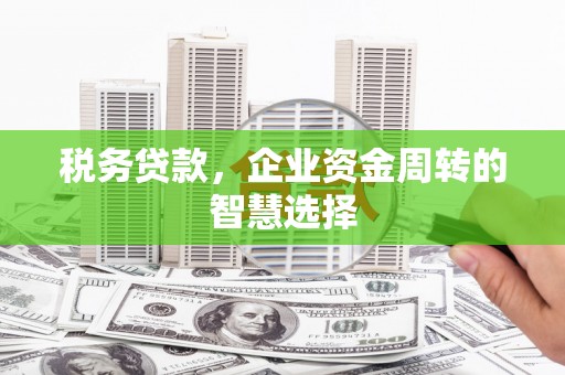 南靖税务贷款，企业资金周转的智慧选择