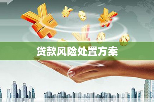 南靖贷款风险处置方案