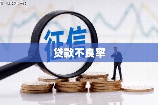 南靖贷款不良率
