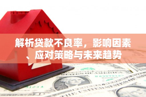 南靖解析贷款不良率，影响因素、应对策略与未来趋势