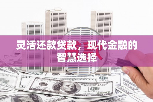 南靖灵活还款贷款，现代金融的智慧选择