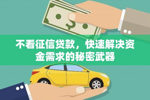 南靖不看征信贷款，快速解决资金需求的秘密武器