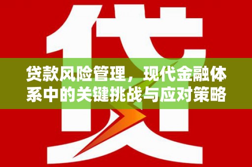 南靖贷款风险管理，现代金融体系中的关键挑战与应对策略