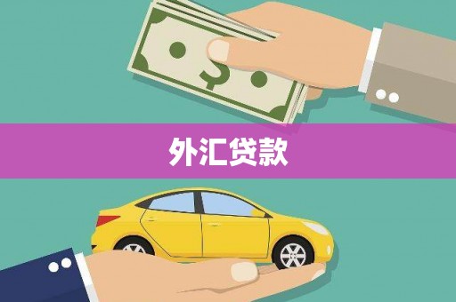 南靖外汇贷款