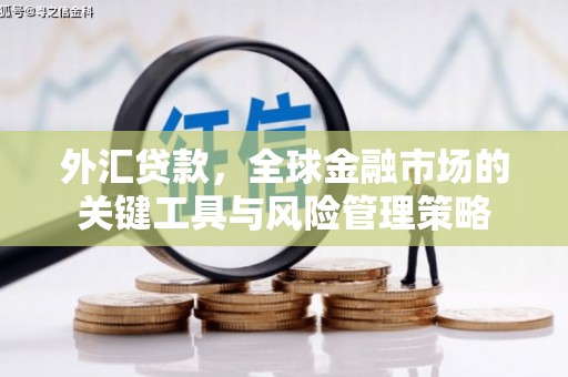 南靖外汇贷款，全球金融市场的关键工具与风险管理策略