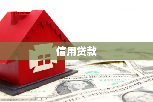 南靖信用贷款