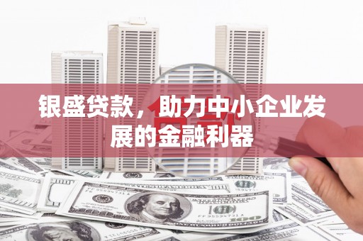 南靖银盛贷款，助力中小企业发展的金融利器