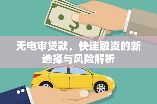 南靖无电审贷款，快速融资的新选择与风险解析