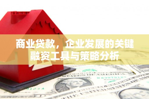 南靖商业贷款，企业发展的关键融资工具与策略分析