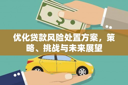 南靖优化贷款风险处置方案，策略、挑战与未来展望
