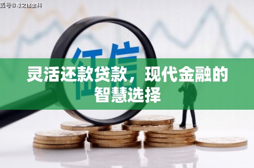 南靖灵活还款贷款，现代金融的智慧选择