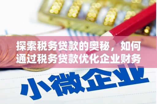 南靖探索税务贷款的奥秘，如何通过税务贷款优化企业财务
