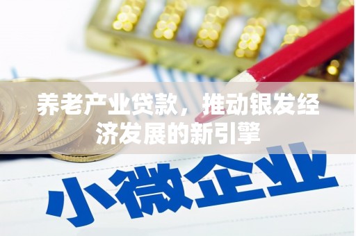 南靖养老产业贷款，推动银发经济发展的新引擎