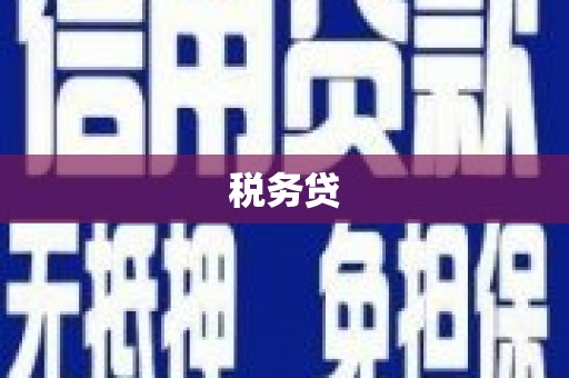 南靖税务贷