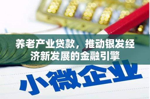 南靖养老产业贷款，推动银发经济新发展的金融引擎
