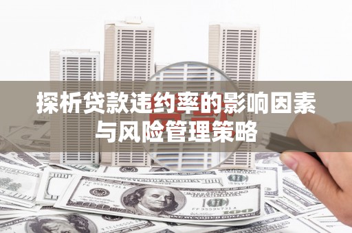 南靖探析贷款违约率的影响因素与风险管理策略