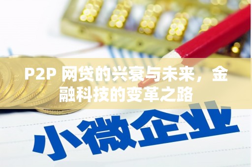 南靖P2P 网贷的兴衰与未来，金融科技的变革之路