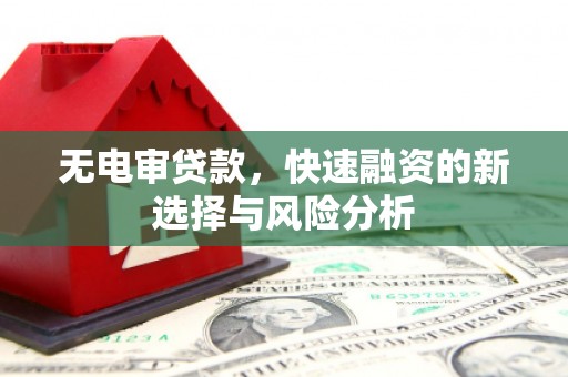 南靖无电审贷款，快速融资的新选择与风险分析