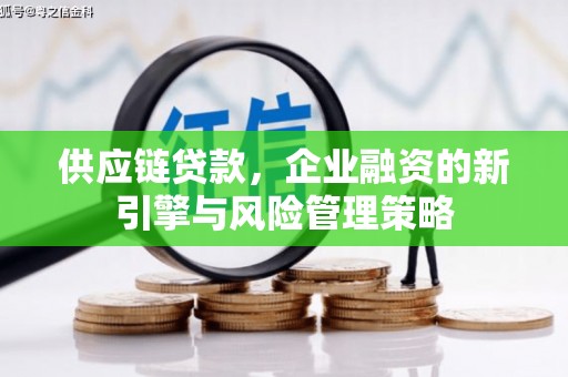 南靖供应链贷款，企业融资的新引擎与风险管理策略