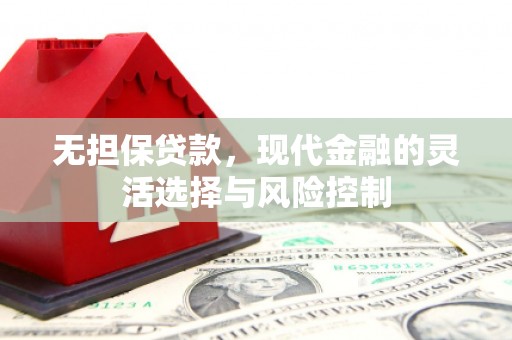南靖无担保贷款，现代金融的灵活选择与风险控制