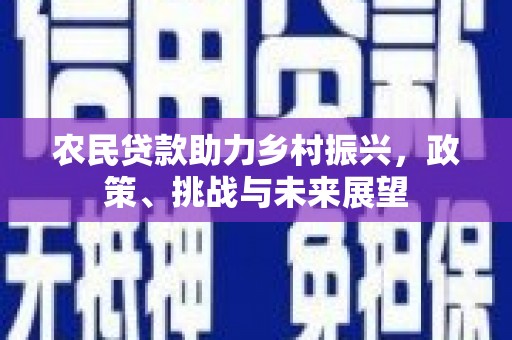 南靖农民贷款助力乡村振兴，政策、挑战与未来展望