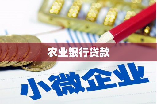 南靖农业银行贷款