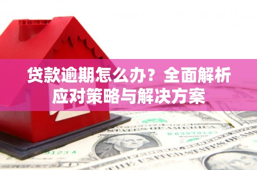 南靖贷款逾期怎么办？全面解析应对策略与解决方案