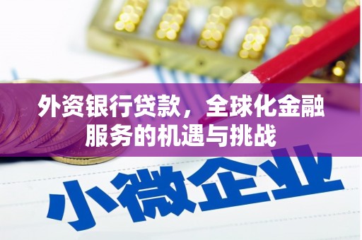 南靖外资银行贷款，全球化金融服务的机遇与挑战