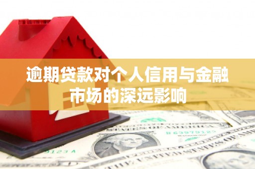 南靖逾期贷款对个人信用与金融市场的深远影响