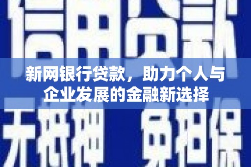 南靖新网银行贷款，助力个人与企业发展的金融新选择
