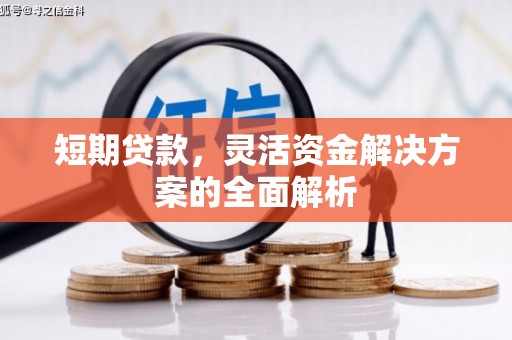 南靖短期贷款，灵活资金解决方案的全面解析